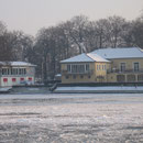 2009