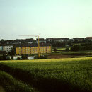 1982