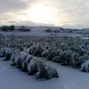 Finca La Valleta después de una gran nevada