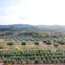 Paraje Vall d´Algés
