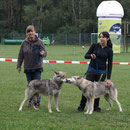 beim Ringtraining3