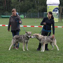beim Ringtraining2