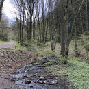 Kalltal