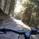 Im Belgenbach Tal 