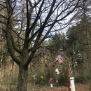 Hoch zum kartoffelbaum 