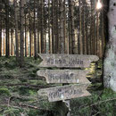 Mitten im Wald - Richtung Rohte Kreuz 