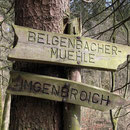 Hoch nach Imgenbroich 