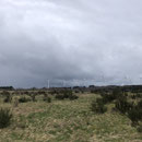 Blick auf den Windpark Schleiden ( Schöneseifen ) 