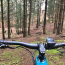 Trails nähe Waldstadion - Linzenshäuschen  - Siebenwege  - karlshöhe  . . . .