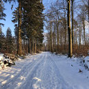 Venwegen