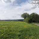 Schick ! Bei Vossenack 