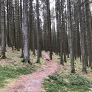 Und wieder rein ins Abenteuer . . . .