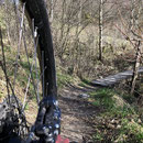Trails ! Matschig aber gut Fahrbar 
