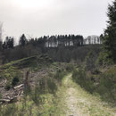 Belgenbachtal
