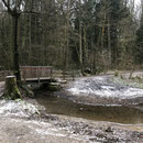 Start in Brand geht`s mit kalten Fingerchen zum Beverbach  . . . . 