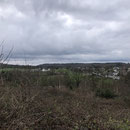 Langesthal 