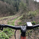 Trails Belgenbachtal 