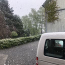 Sonntag Morgen so gegen 09.00 Uhr feiner weisser Polenflug in Brand  . . . . 