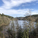 kalltalsperre - Rollersbroich  - Steckenborn 