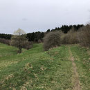 Und weils so schön war gehts nochmal runter ins Perlenbachtal 