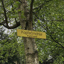 Kupfermühle 