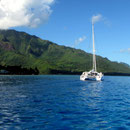 ...um in ein paar Tagen in den tiefer im S gelegenen Austral Islands den nächsten Landfall vorzunehmen! 