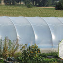 Folientunnel Typ R