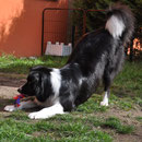Eve will spielen