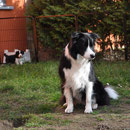 Eve und Amoroso im Hintergrund