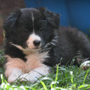 Alegria - 7 Wochen, 2 Tage