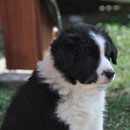 Admirable - 7 Wochen, 2 Tage