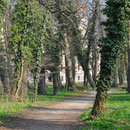 Tolle Wege