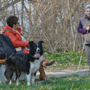 Lexi und Hunde werden bewundert