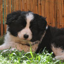 Adorada - 7 Wochen, 2 Tage