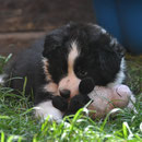 Admirable - 7 Wochen, 2 Tage