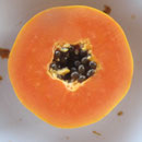 Papaya mit Kern