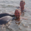 Delfine schwimmen hier auch