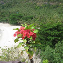 Schöner Strand
