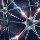 Neuronen sind entzündet