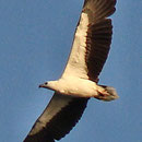 Freiheit