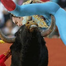 Der Stich mit dem Horn