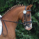 Cezar