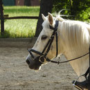 Rosalie