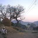 nochmals Dorf