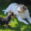 Sandy und Tess