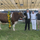 mit Christian Stucki und den Betreuern Didi Haller und Stefan Sempach (Bild: Rolf Eicher)