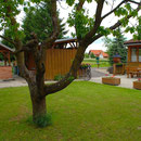 Garten Gästehaus Anna Bad Radkersburg