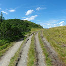 vierspuriger Wanderweg  :)