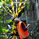 Code Maroon - Baboon House, Melaka 2012: Frank van de Ven performance