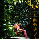 Code Maroon - Baboon House, Melaka 2012: Frank van de Ven performance